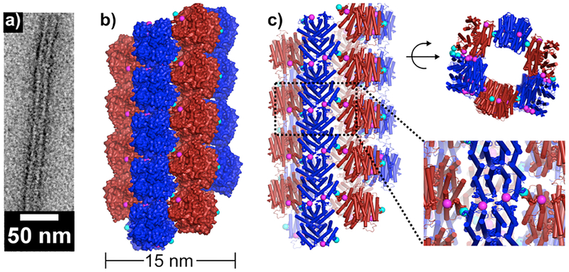 Figure 5.