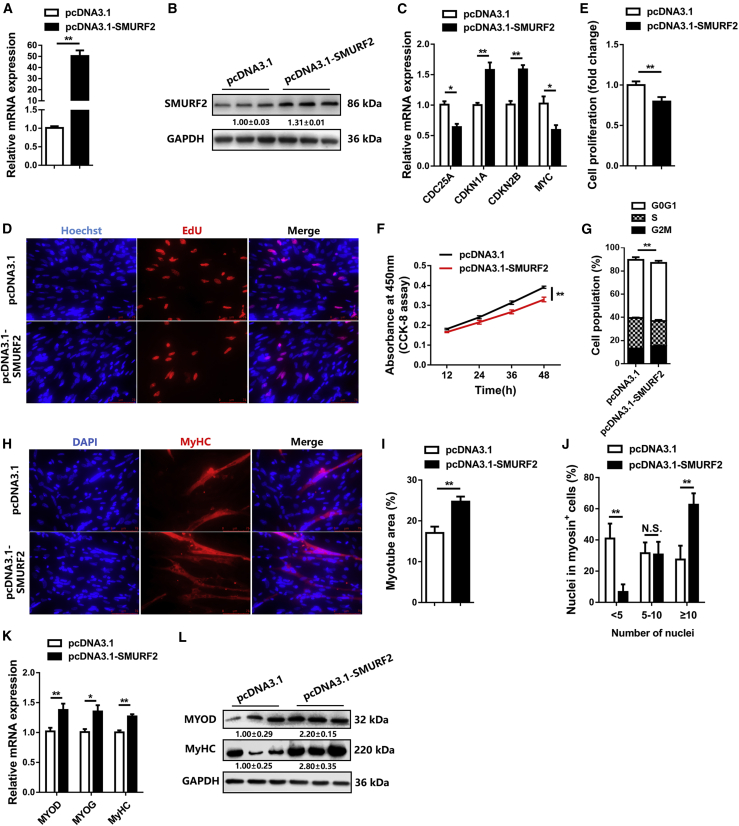 Figure 6