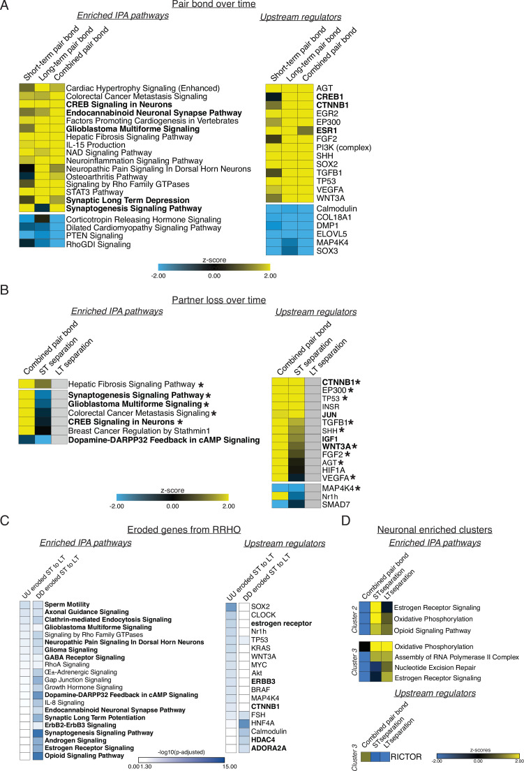 Figure 2—figure supplement 2.