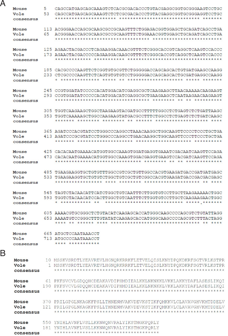 Figure 4—figure supplement 1.