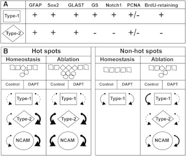 Figure 7