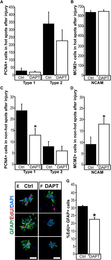 Figure 6