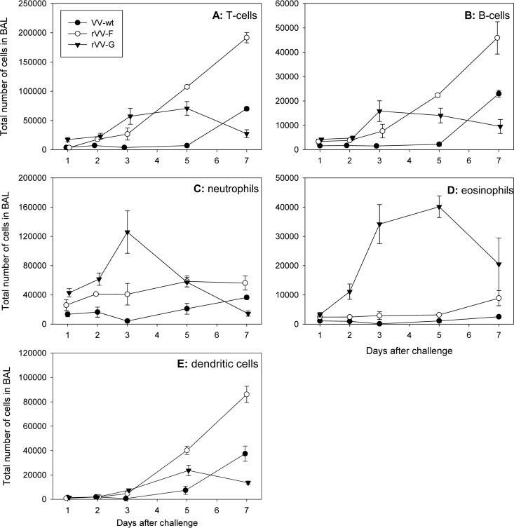 FIG 2