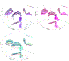 Fig 2.