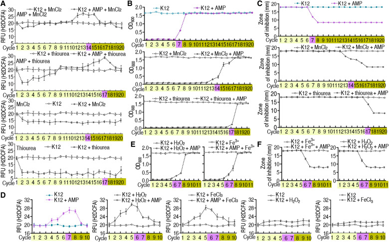 Fig. 6.