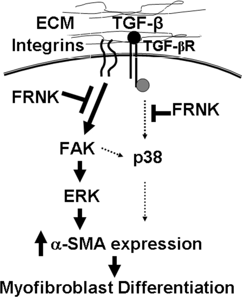 FIGURE 10.