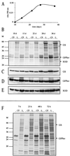 FIG. 11