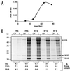 FIG. 10