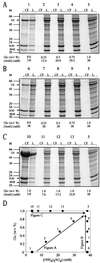 FIG. 12