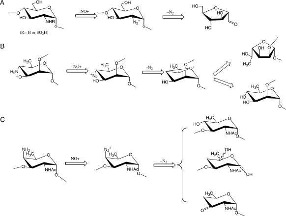 Scheme 3.