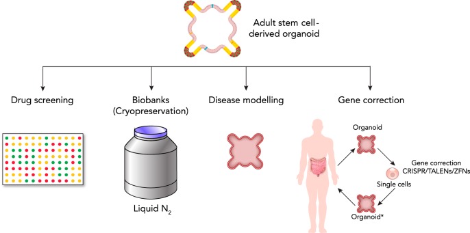 FIGURE 4.