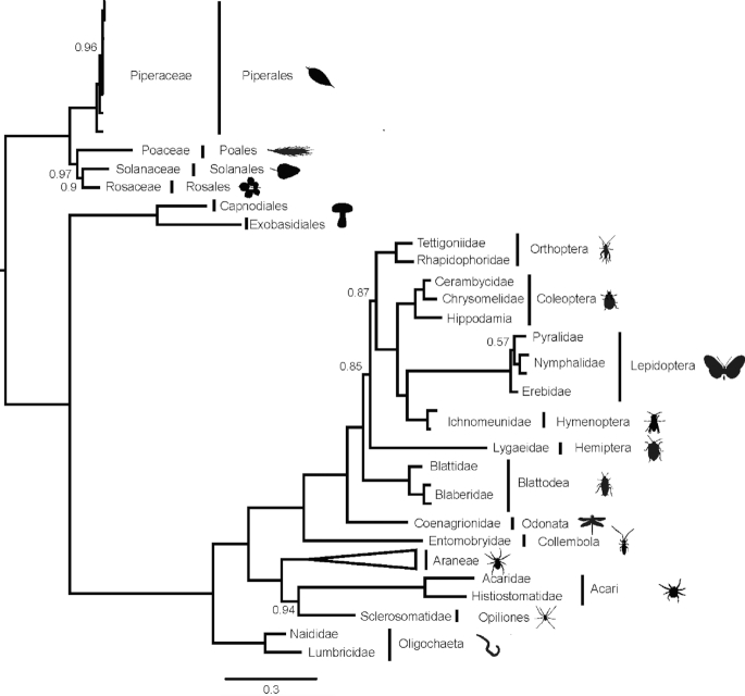 Figure 3: