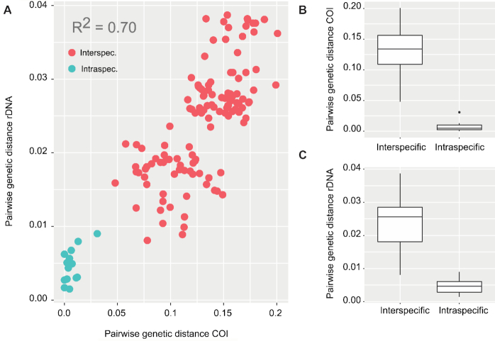 Figure 6: