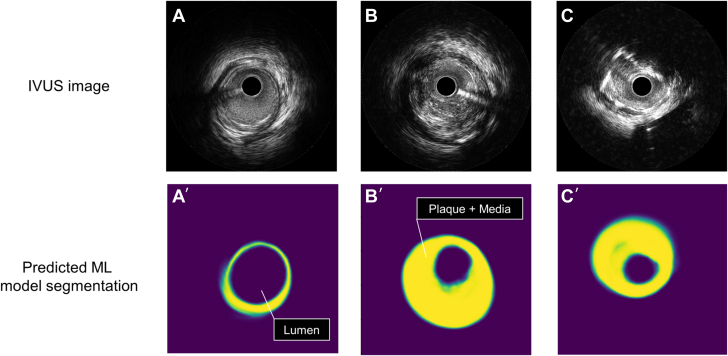 Figure 2