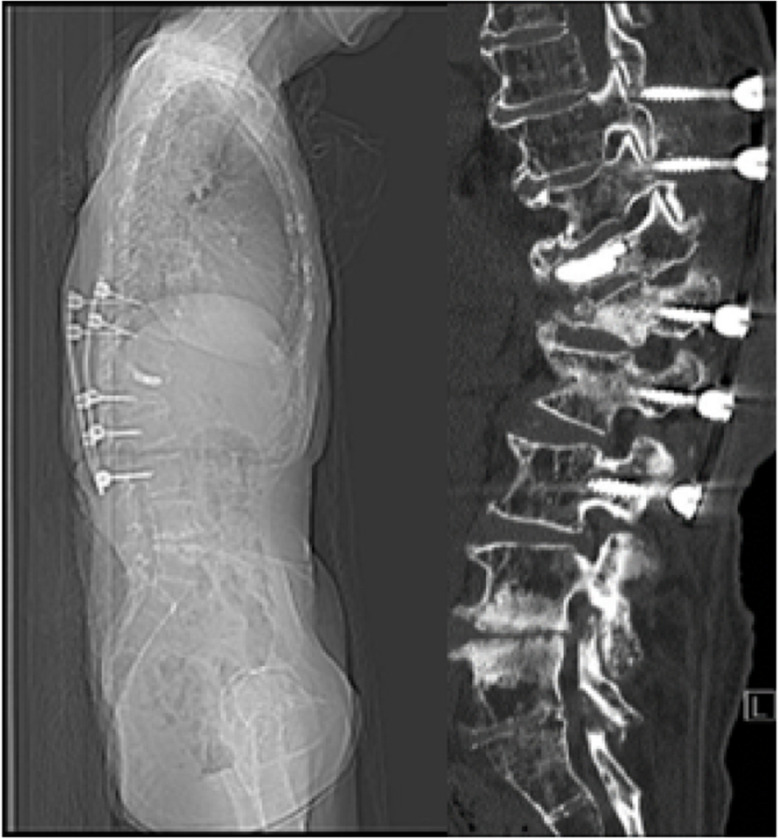 Fig. 5