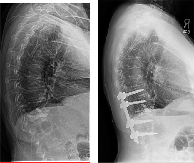Fig. 7
