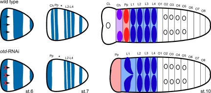 Fig. 4.