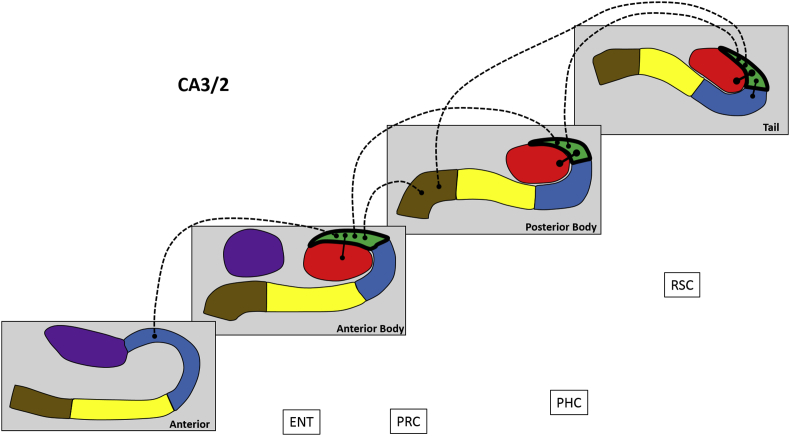 Fig. 5