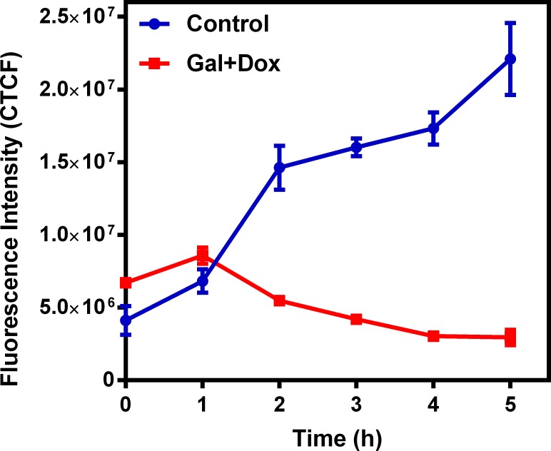 Fig 7