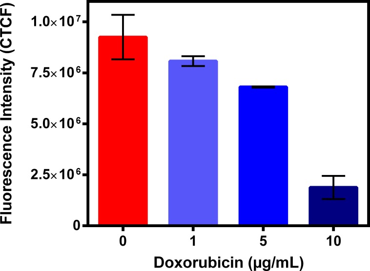 Fig 6