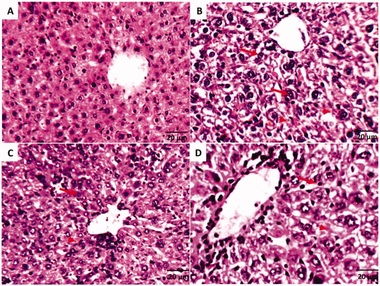 Figure 5.