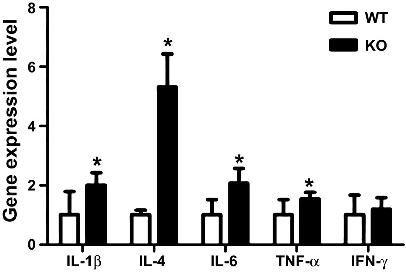 Fig. 2.