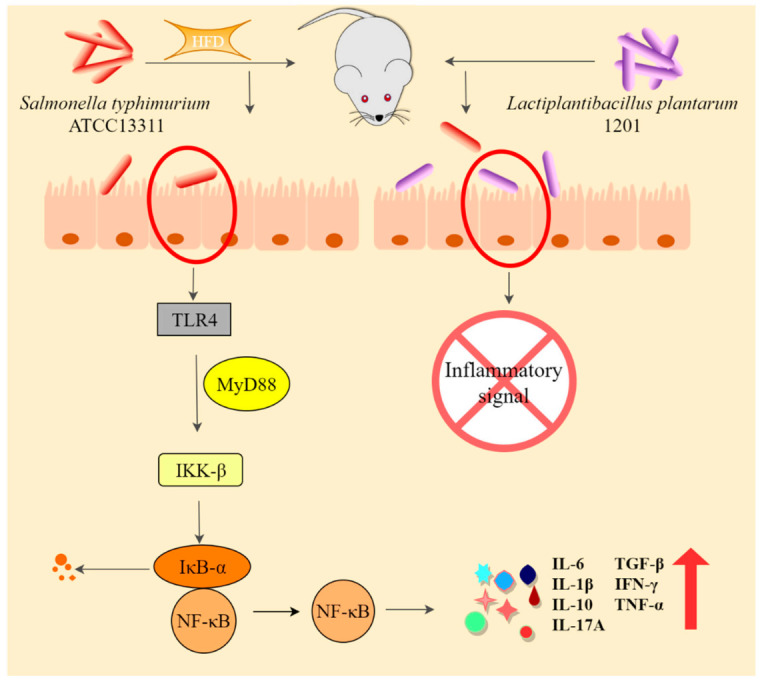 Figure 6