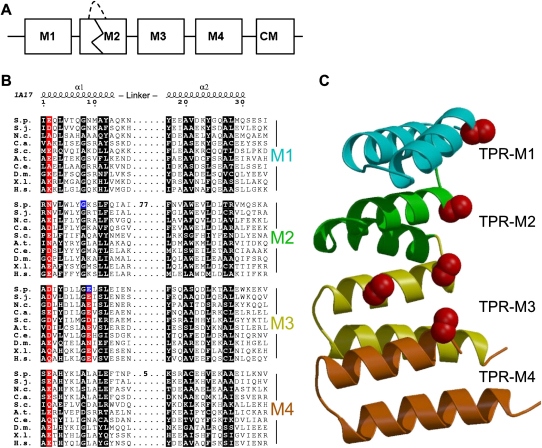 Figure 2