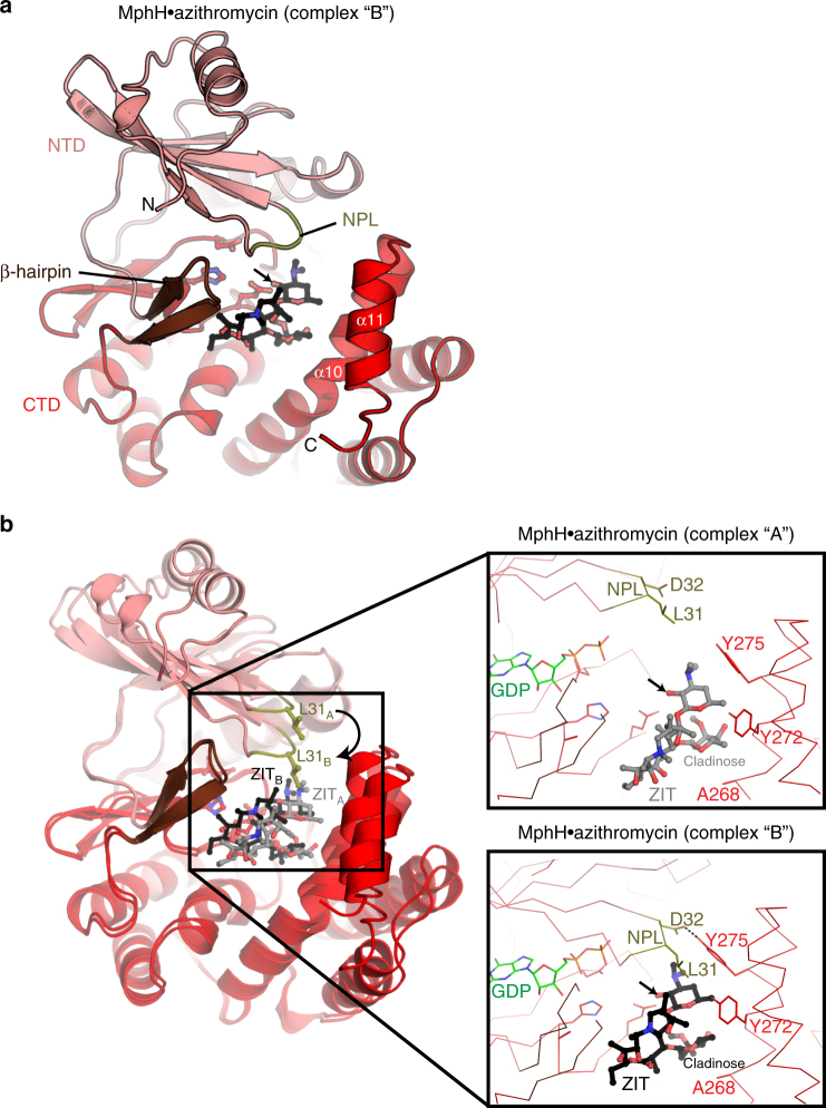 Fig. 4