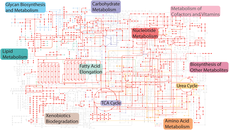 Figure 3: