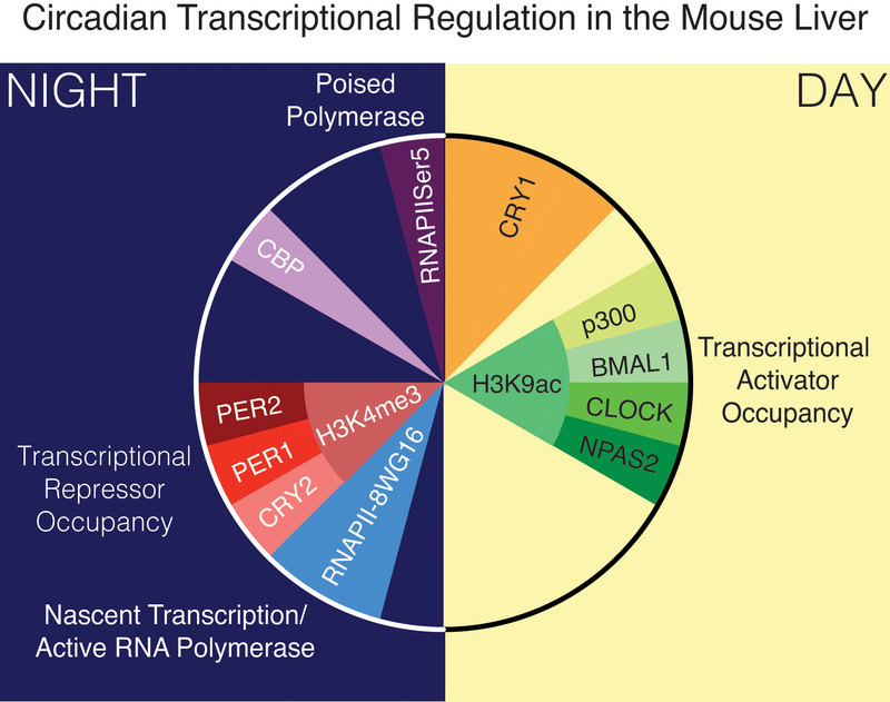 Figure 2: