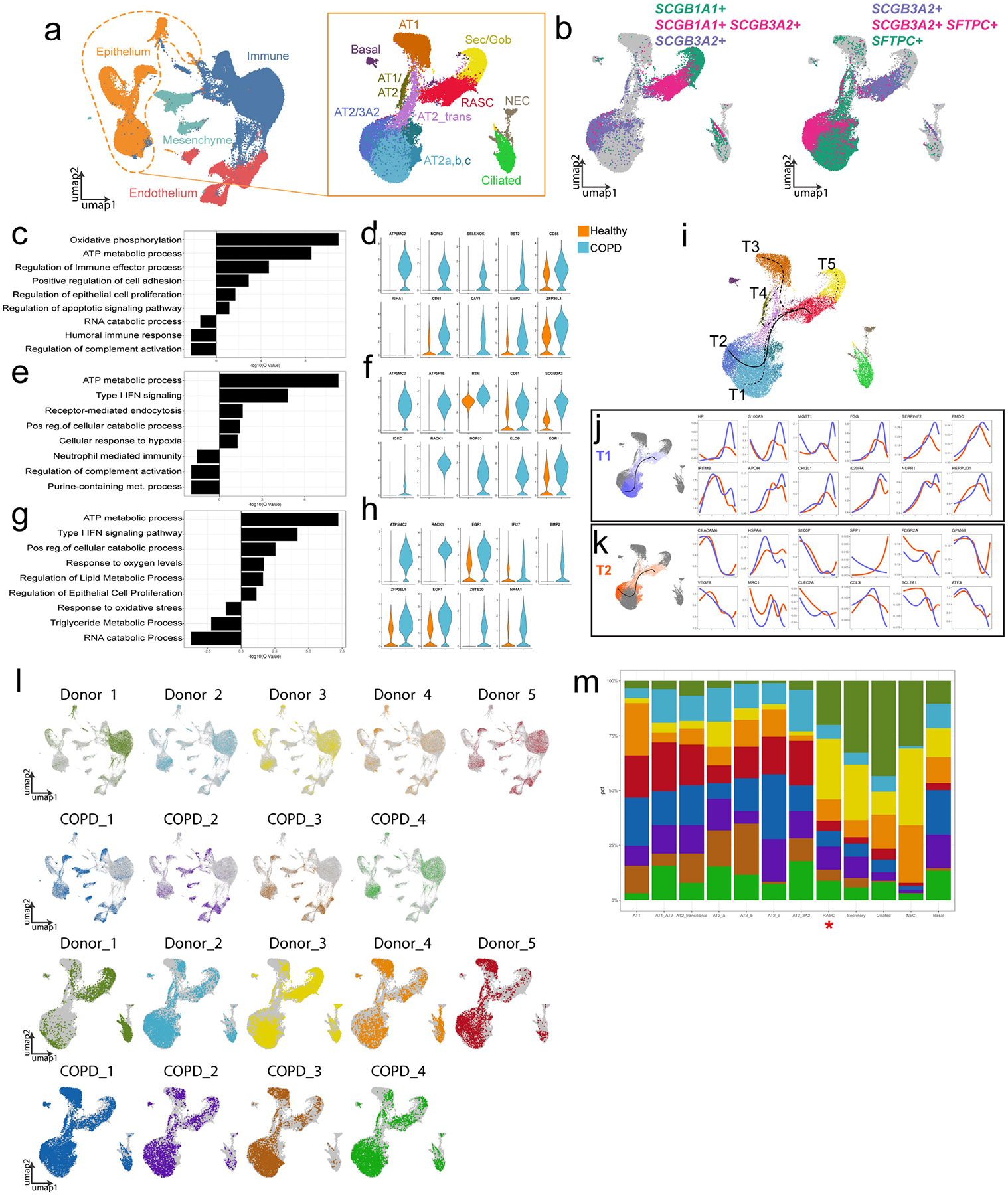 Extended Data Fig. 12 |