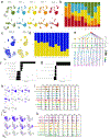 Extended Data Fig. 1 |