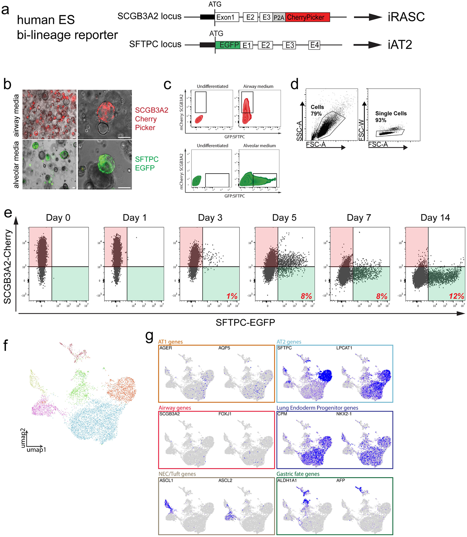 Extended Data Fig. 8 |