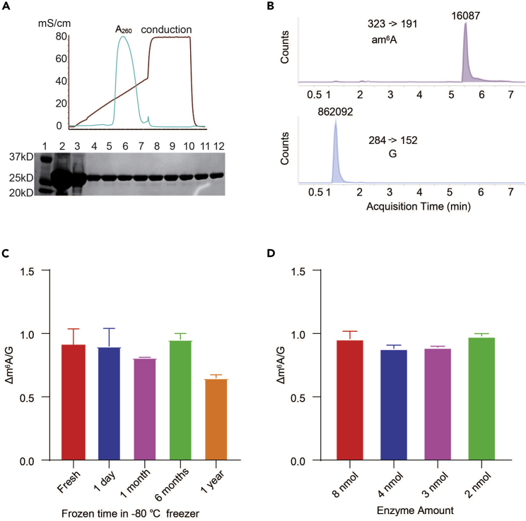 Figure 2