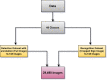 Fig 1: