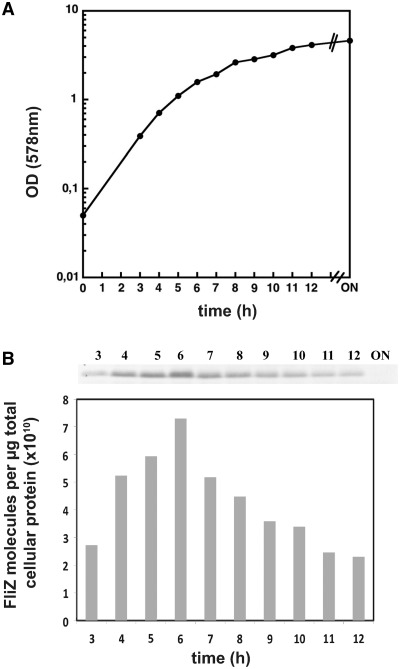 Figure 7.