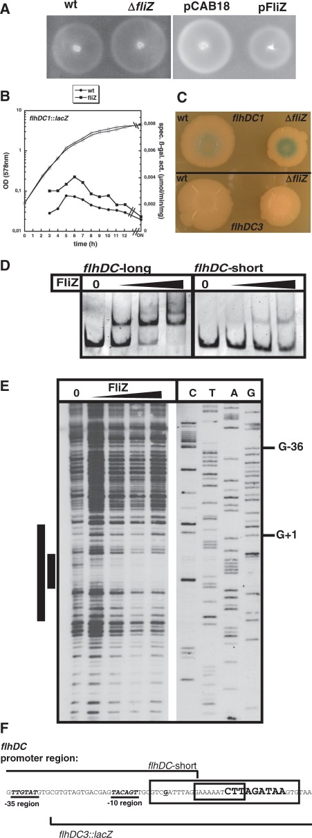 Figure 6.