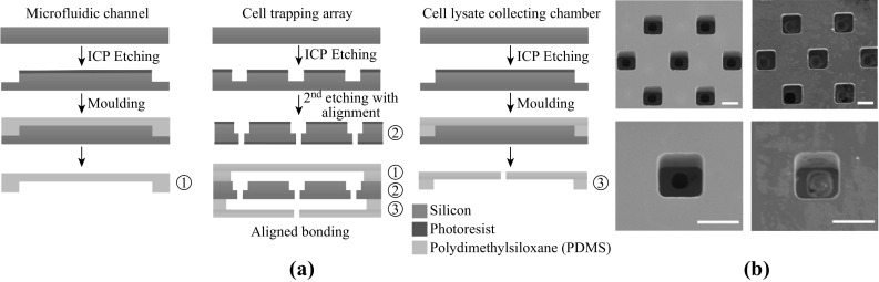 Fig. 2