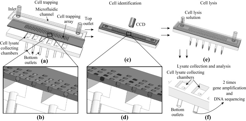 Fig. 1