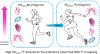 FIGURE 1—