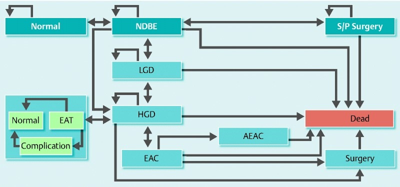 Supplementary Fig. 2