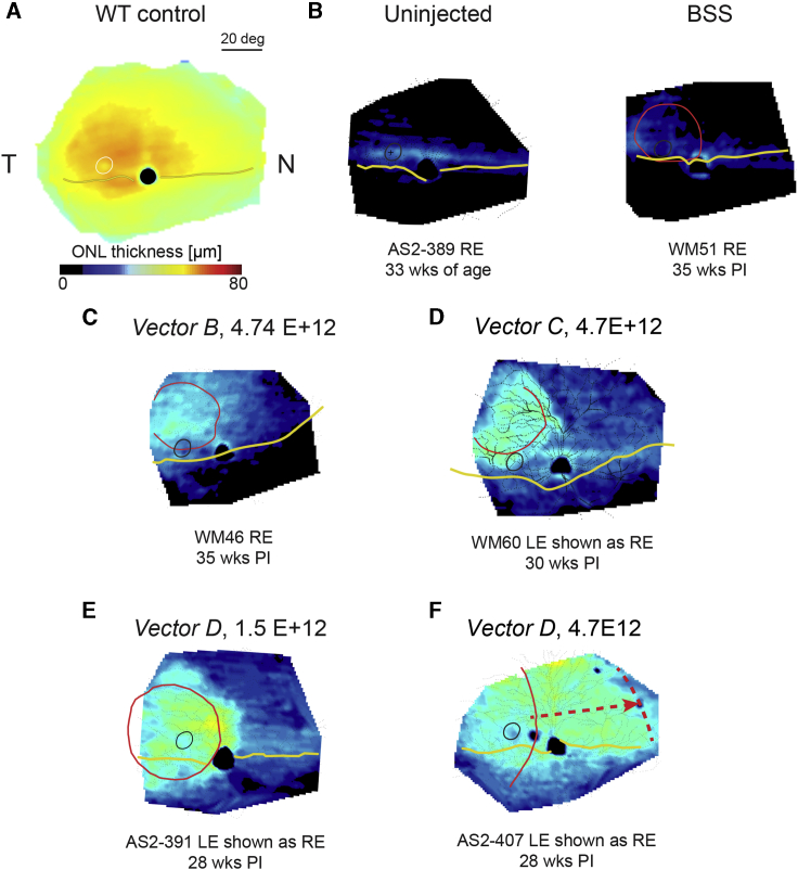 Figure 5