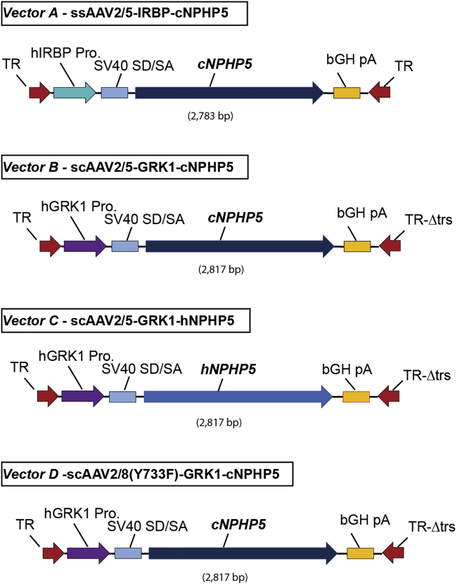 Figure 1