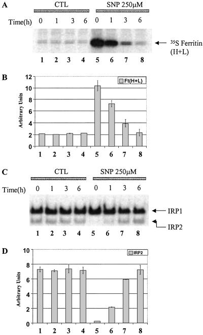 Fig 4.