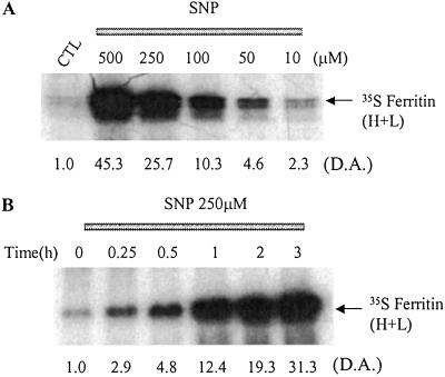 Fig 3.