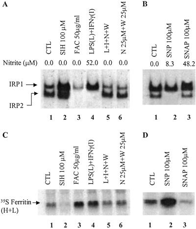 Fig 1.