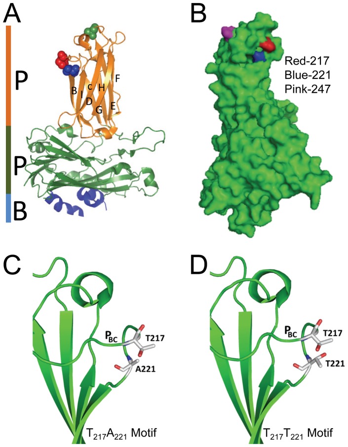 Figure 11