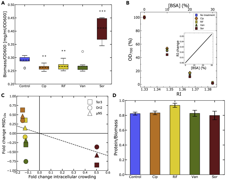 Figure 5