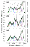 Fig. 3
